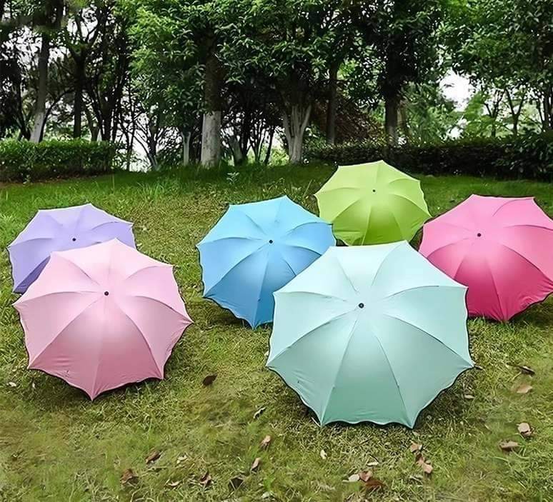 Dotted Umbrella